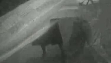 Dinosaur Porn! TNAFlix Porn Videos