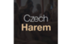 Watch Free CzechHarem.com Porn Videos