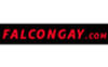 Watch Free Falcon Gay Porn Videos