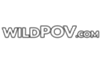 Watch Free Wild POV Porn Videos