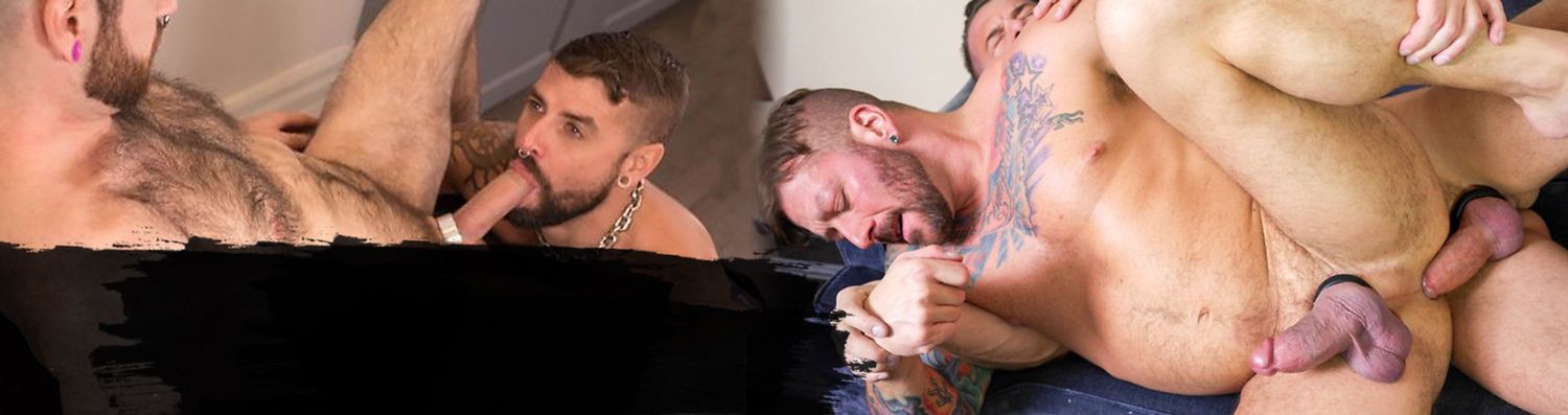 Guarda video porno gratuiti di Bareback Pigs