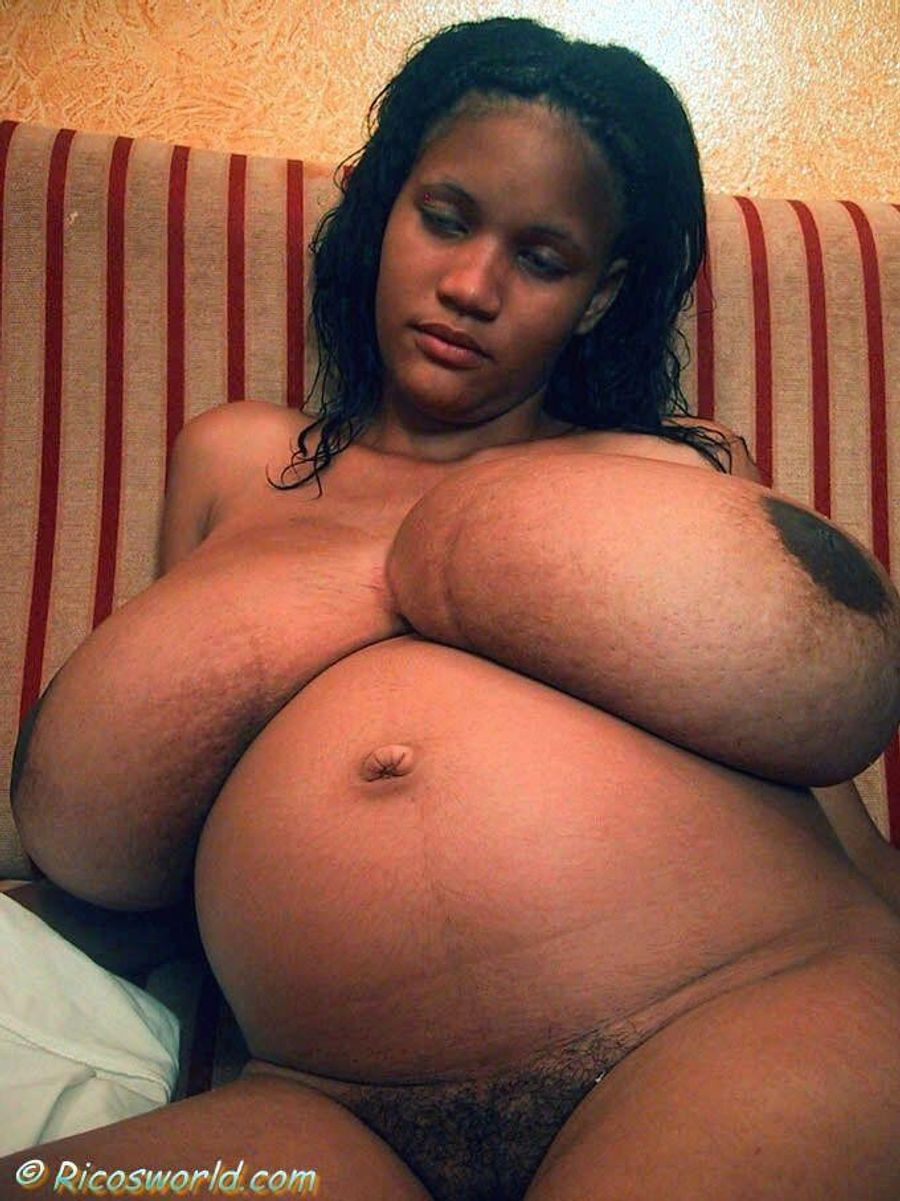 gigantic pregnant ebony boobs. 